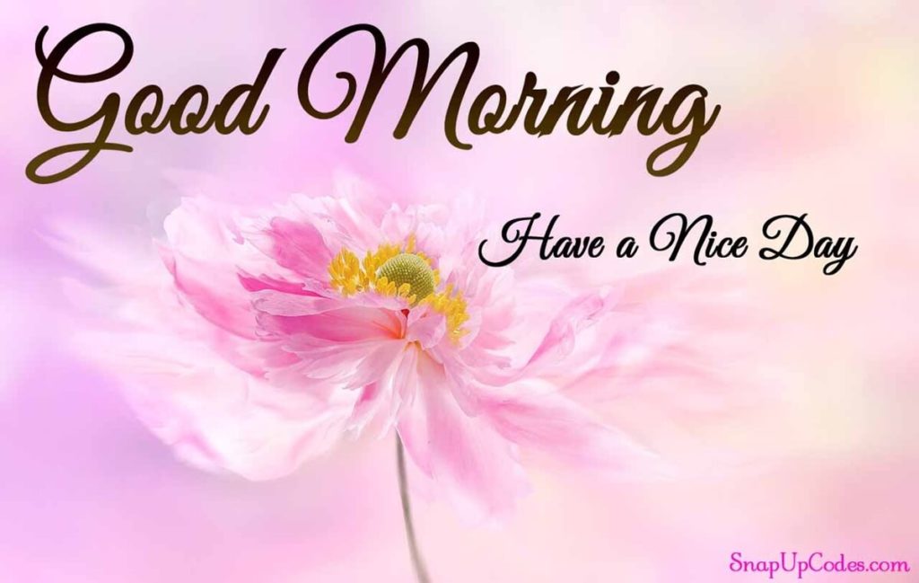 Good Morning Messages for Friends Status | Indian Memoir