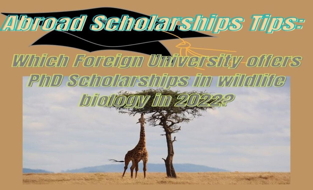 Foreign University offers PhD Scholarships in wildlife biology in 2022indianmemoir.com