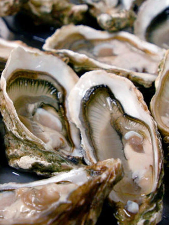 Avoid eating raw oysters, according to a food poisoning expert
