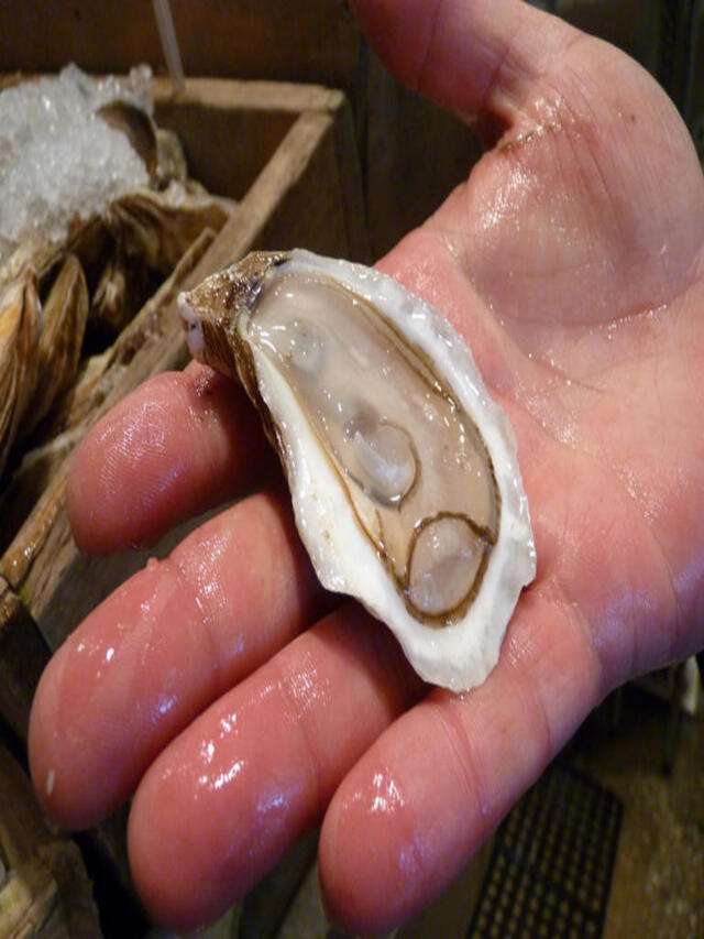 Two people have perished after consuming raw oysters