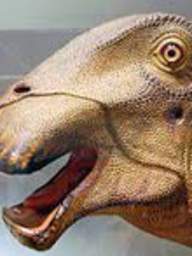 What Dinosaur Has 500 Teeth? Know About Nigersurus